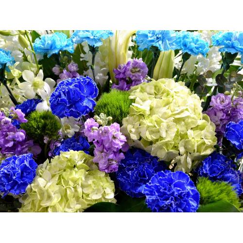 ���j���p�@�X�^���h�� �@��i�@�u���[�n�@(�J�[�l�[�V�����ƃ����̃X�^���h�ԁj�j�J�X�j���A�J�Əj���A���N�j���A����A�R���T�[�g�A���C�u�A�W����A���\��4