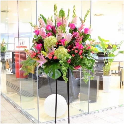 ���j���p�@�X�^���h�� �@��i�@�s���N�n(�o���ƃ����̃X�^���h�ԁj�J�X�j���A�J�Əj���A���N�j���A�ړ]�j���A�A�C�j���A����A�R���T�[�g�A���C�u�A���\��