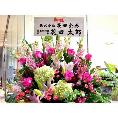 ���j���p�@�X�^���h�� �@��i�@�s���N�n(�o���ƃ����̃X�^���h�ԁj�J�X�j���A�J�Əj���A���N�j���A�ړ]�j���A�A�C�j���A����A�R���T�[�g�A���C�u�A���\��4