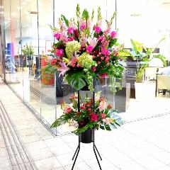 ���j���p�@�X�^���h�� �@��i�@�s���N�n(�o���ƃ����̃X�^���h�ԁj�J�X�j���A�J�Əj���A���N�j���A�ړ]�j���A�A�C�j���A����A�R���T�[�g�A���C�u�A���\��