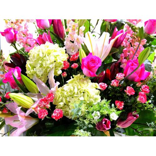 ���j���p�@�X�^���h�� �@�R�[���X�^���h�@�s���N�n(�o���ƃ����̃X�^���h�ԁj�J�X�j���A�J�Əj���A���N�j���A�ړ]�j���A�A�C�j���A����A�R���T�[�g�A���\4