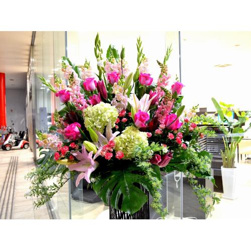 ���j���p�@�X�^���h�� �@�����X�^���h�@�s���N�n (�o���̃X�^���h�ԁj�J�X�j���A�J�Əj���A���N�j���A����A�R���T�[�g�A���C�u�A�W����A�W����A���\��3