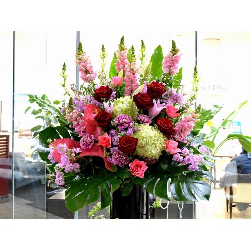 ���j���p�@�X�^���h�� �@��i�@�ԃs���N�n(�o���ƃ����̃X�^���h�ԁj�J�X�j���A�J�Əj���A���N�j���A�ړ]�j���A�A�C�j���A����A�R���T�[�g�A���C�u�A���\��3