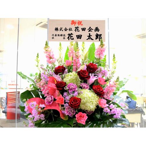 ���j���p�@�X�^���h�� �@�����X�^���h�@�s���N�n (�o���̃X�^���h�ԁj�J�X�j���A�J�Əj���A���N�j���A����A�R���T�[�g�A���C�u�A�W����A�W����A���\��5