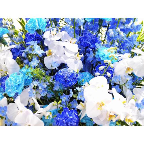 ���j���p�@�X�^���h�� �@��i�@�Ӓ�������u���[�n4
