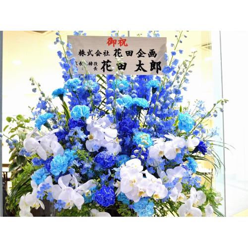 ���j���p�@�X�^���h�� �@��i�@�Ӓ�������u���[�n5