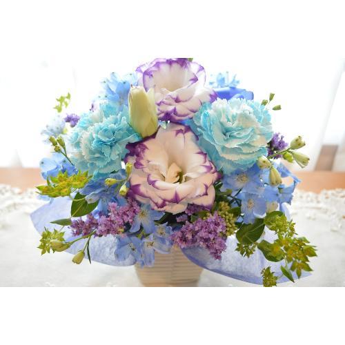 �L���[�g�ȃA�����W�@BluePurple�@�i�J�[�l�[�V�����ƃg���R�L�L���E�̃t�����[�A�����W�����g�j�u���[�n�@�a�����A�����L�O���A���j��2