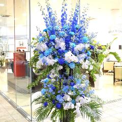 ���j���p�@�X�^���h�� �@��i�@�Ӓ�������u���[�n