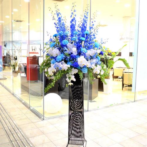 ���j���p�@�X�^���h�� �@�X�`�[���^�@�Ӓ�������u���[�n