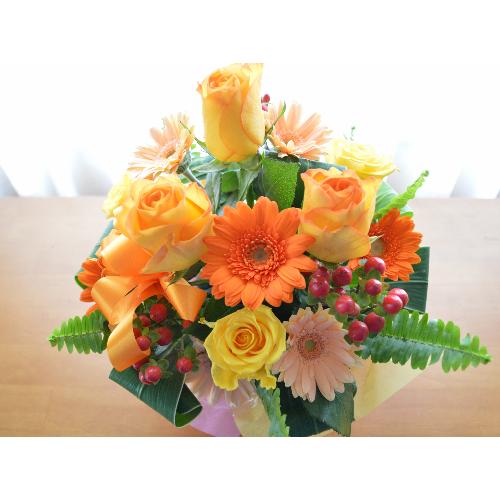 �v�`�ґ�ȃA�����W�����g�@OrangeHeart�@(�o���ƃK�[�x���̃t�����[�A�����W�������g�j�I�����W�n�@�a�����A�����L�O���A���j���A�h�V�̓�3