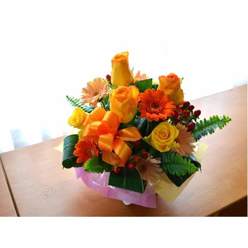 �v�`�ґ�ȃA�����W�����g�@OrangeHeart�@(�o���ƃK�[�x���̃t�����[�A�����W�������g�j�I�����W�n�@�a�����A�����L�O���A���j���A�h�V�̓�4