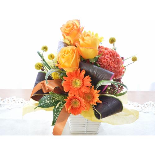 �v�`�ґ�ȃA�����W�����g�@Mont Blanc�@�i�o���̃t�����[�A�����W�����g�j�I�����W�n�@�a�����A�h�V�̓��A���j���A�h�V�̓�4