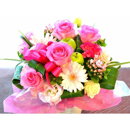 �v�`�ґ�ȃA�����W�����g�@PinkPassion�@(�o���ƃK�[�x���̃t�����[�A�����W�����g�j�@�s���N�n�@�a�����A�����L�O���A���j���A���\��A�R���T�[�g�A���C�u2