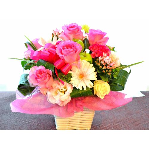 �v�`�ґ�ȃA�����W�����g�@PinkPassion�@(�o���ƃK�[�x���̃t�����[�A�����W�����g�j�@�s���N�n�@�a�����A�����L�O���A���j���A���\��A�R���T�[�g�A���C�u3