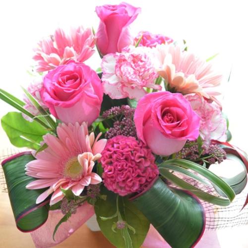 �v�`�ґ�ȃA�����W�����g�@PinkEmotion�@(�o���ƃK�[�x���̃t�����[�A�����W�����g�j�s���N�n�@�a�����A�����L�O���A���j���A�h�V�̓�