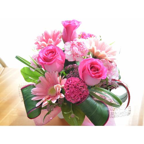 �v�`�ґ�ȃA�����W�����g�@PinkEmotion�@(�o���ƃK�[�x���̃t�����[�A�����W�����g�j�s���N�n�@�a�����A�����L�O���A���j���A�h�V�̓�2