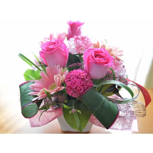 �v�`�ґ�ȃA�����W�����g�@PinkEmotion�@(�o���ƃK�[�x���̃t�����[�A�����W�����g�j�s���N�n�@�a�����A�����L�O���A���j���A�h�V�̓�3