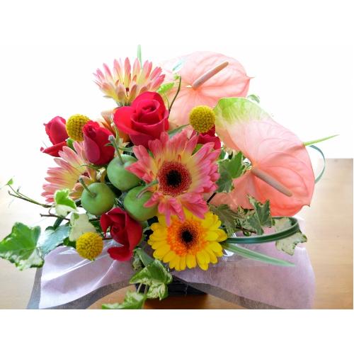 �v�`�ґ�ȃA�����W�@FruitBasket (�A���X�����[���ƃK�[�x���̃t�����[�A�����W�����g�jMix�J���[ �a�����A�����L�O���A���j���A�h�V�̓�2