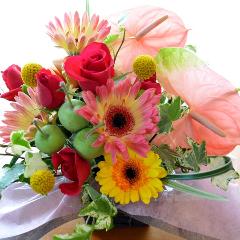 �v�`�ґ�ȃA�����W�@FruitBasket (�A���X�����[���ƃK�[�x���̃t�����[�A�����W�����g�jMix�J���[ �a�����A�����L�O���A���j���A�h�V�̓�
