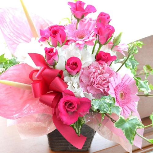 �v�`�ґ�ȃA�����W�@PinkDolce�@�i�A���X�����[����sp�o���̃t�����[�A�����W�����g�j�s���N�n�@�a�����A�����L�O���A���j���A�h�V�̓�