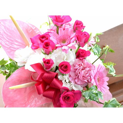 �v�`�ґ�ȃA�����W�@PinkDolce�@�i�A���X�����[����sp�o���̃t�����[�A�����W�����g�j�s���N�n�@�a�����A�����L�O���A���j���A�h�V�̓�5