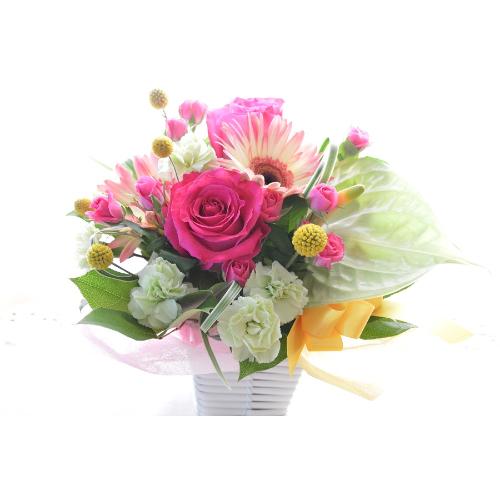 �L���[�g�ȃA�����W�@�q���̃����c�i�o���ƃK�[�x���̃t�����[�A�����W�����g�j�s���N�n�@�a�����A�����L�O���A���j���A�h�V�̓�2