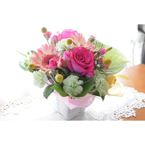 �L���[�g�ȃA�����W�@�q���̃����c�i�o���ƃK�[�x���̃t�����[�A�����W�����g�j�s���N�n�@�a�����A�����L�O���A���j���A�h�V�̓�3