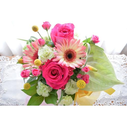 �L���[�g�ȃA�����W�@�q���̃����c�i�o���ƃK�[�x���̃t�����[�A�����W�����g�j�s���N�n�@�a�����A�����L�O���A���j���A�h�V�̓�4