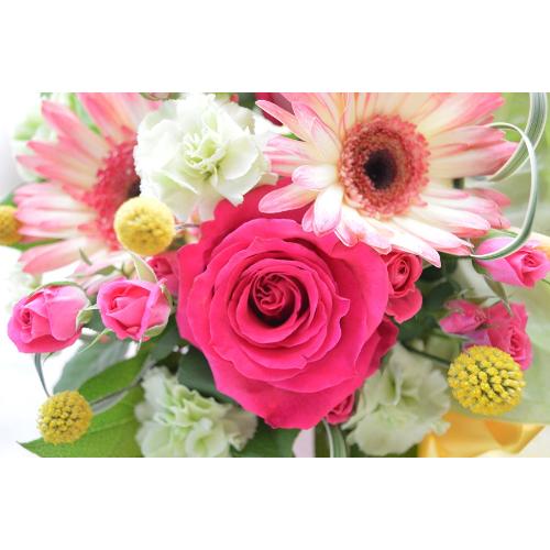 �L���[�g�ȃA�����W�@�q���̃����c�i�o���ƃK�[�x���̃t�����[�A�����W�����g�j�s���N�n�@�a�����A�����L�O���A���j���A�h�V�̓�5