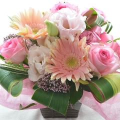 ��l�̃A�����W�����g�@AquaPink�@�i�o���̃t�����[�A�����W�����g�j�s���N�n�@�a�����A�����L�O���A���j��