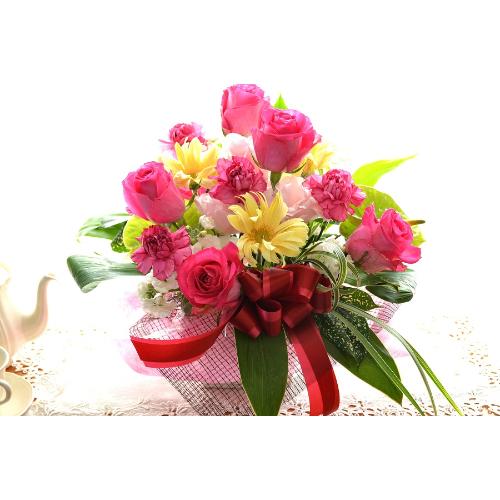 �������A���@�A�����W�����g�@PinkRose�@�i�o���̃t�����[�A�����W�����g�j�s���N�n�@�a�����A�����L�O���A���j���A�h�V�̓�5