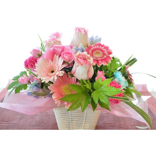 �������A���@�A�����W�����g�@PinkPastel4