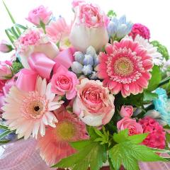 �������A���@�A�����W�����g�@PinkPastel
