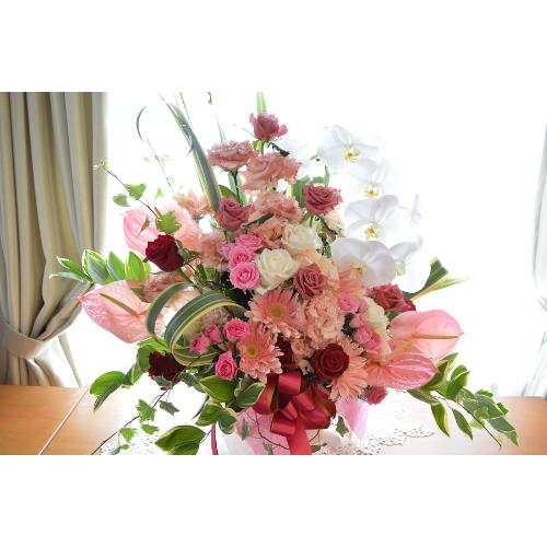�R���`�F���g�@(�o���ƃR�`���E�����̃t�����[�A�����W�����g�j�@���b�h�n�@�a�����A�����L�O���A���j���A���\��A�R���T�[�g�A���C�u5