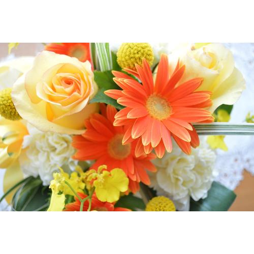 �L���[�g�ȃA�����W�����g�@SweetAngel�@�i�o���ƃK�[�x���̃t�����[�A�����W�����g�j���F�I�����W�n�@�a�����A�����L�O���A���j���A���\��A�R���T�[�g�A���C�u5
