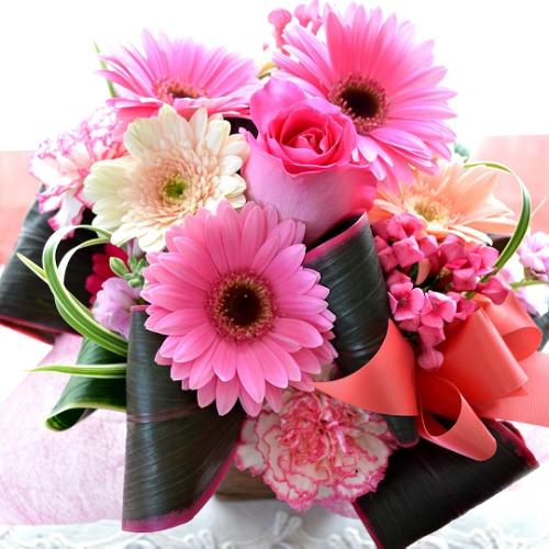 �L���[�g�ȃA�����W�����g�@PinkEssence�@�i�K�[�x���ƃo���̃t�����[�A�����W�����g�j�s���N�n�@�a�����A�����L�O���A���j���A���\��A�R���T�[�g�A���C�u
