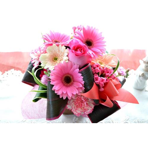 �L���[�g�ȃA�����W�����g�@PinkEssence�@�i�K�[�x���ƃo���̃t�����[�A�����W�����g�j�s���N�n�@�a�����A�����L�O���A���j���A���\��A�R���T�[�g�A���C�u2