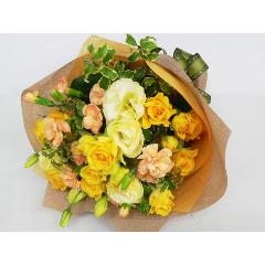 �I�����W�F�̃~�j�o���u�[�P