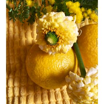 �X�܊O�ω摜