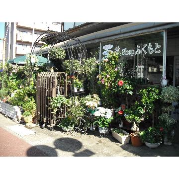 �X�܊O�ω摜