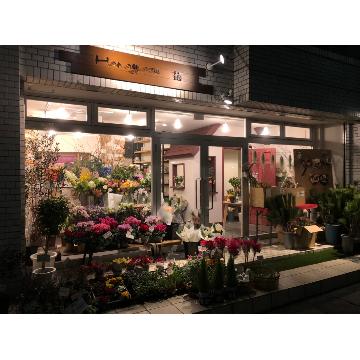 �X�܊O�ω摜
