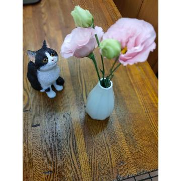 �X�^�b�t�摜