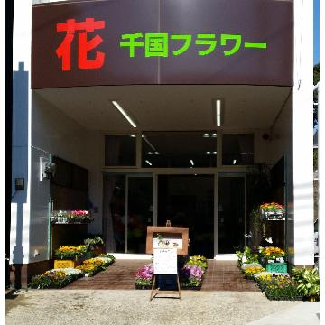 �X�܊O�ω摜