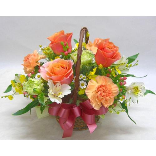 ���I�����W�K�N�ƃJ�[�l�[�V�����̃A�����W���a�����E���l�̓��E�����L�O���E���ʁE�E�E���s���{��悩�炨�͂����܂�3