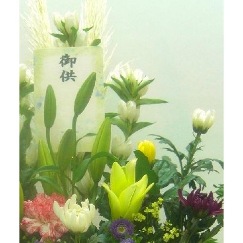 ���J���t���Ȃ������A�����W�����ފ݁E�����E�R����E�V����E�@�v�E�@���ɁE�E���s���{��悩�炨�͂����܂��B3