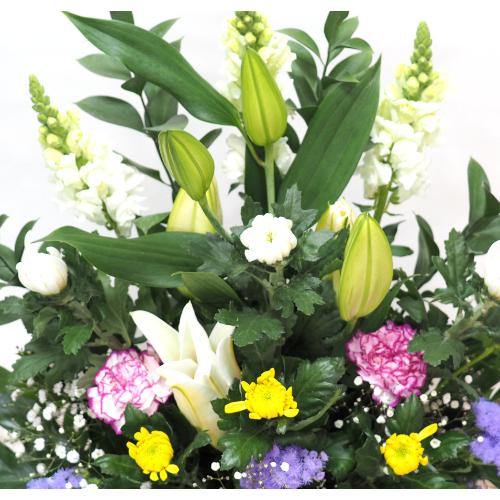 ���J���t���Ȃ������A�����W�����ފ݁E�����E�R����E�V����E�@�v�E�@���ɁE�E���s���{��悩�炨�͂����܂��B4