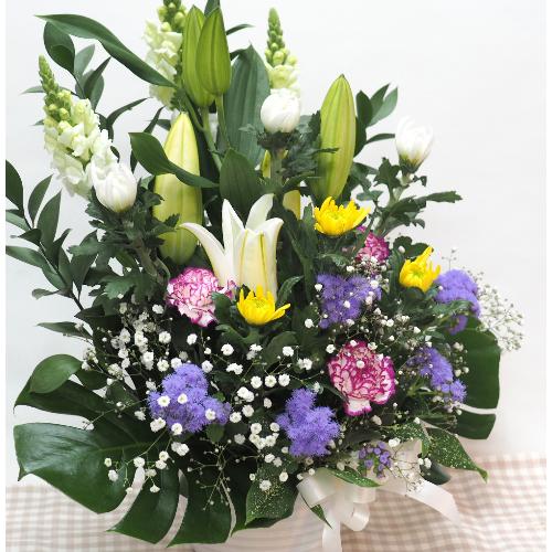 ���J���t���Ȃ������A�����W�����ފ݁E�����E�R����E�V����E�@�v�E�@���ɁE�E���s���{��悩�炨�͂����܂��B5