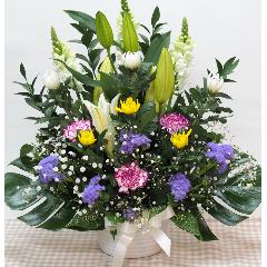 ���J���t���Ȃ������A�����W�����ފ݁E�����E�R����E�V����E�@�v�E�@���ɁE�E���s���{��悩�炨�͂����܂��B