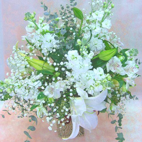 ���z���C�g�s���A�����ފ݁E�䖽���E�@���E�ȂǂɁE�E�E���s���{��悩�炨�͂����܂�2
