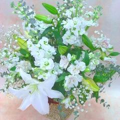 ���z���C�g�s���A�����ފ݁E�䖽���E�@���E�ȂǂɁE�E�E���s���{��悩�炨�͂����܂�